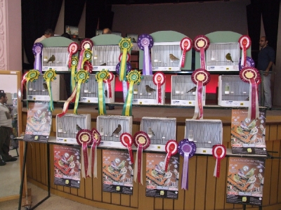 3rd Annual Show-Attard  26