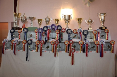 5th Annual Show_1