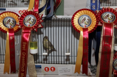 5th Annual Show_6