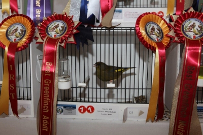 5th Annual Show_9