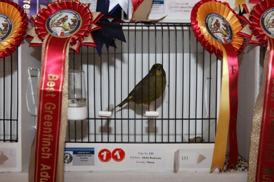 5th Annual Show_14