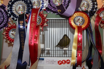 5th Annual Show_7