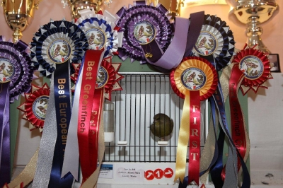 5th Annual Show_8
