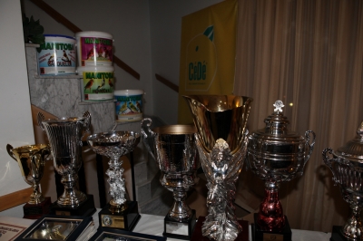 Presentation dinner 2012_9