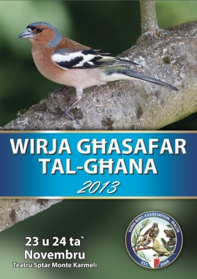 poster2013_1